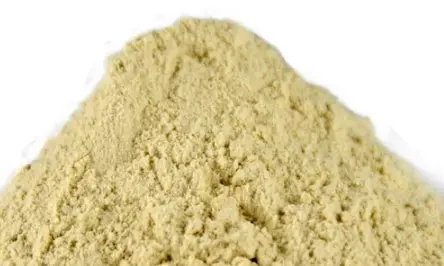 গুরুত্বপূর্ণ গমের গ্লুটেন